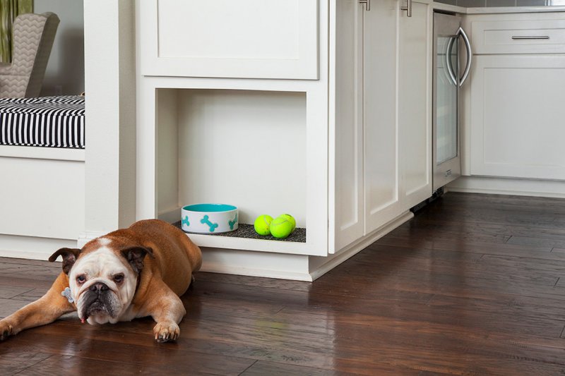 best flooring for dogs